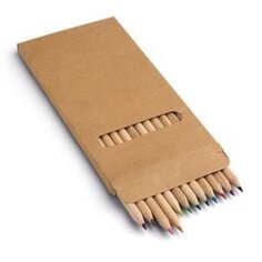 LAPIS DE COR COM 12 CORES